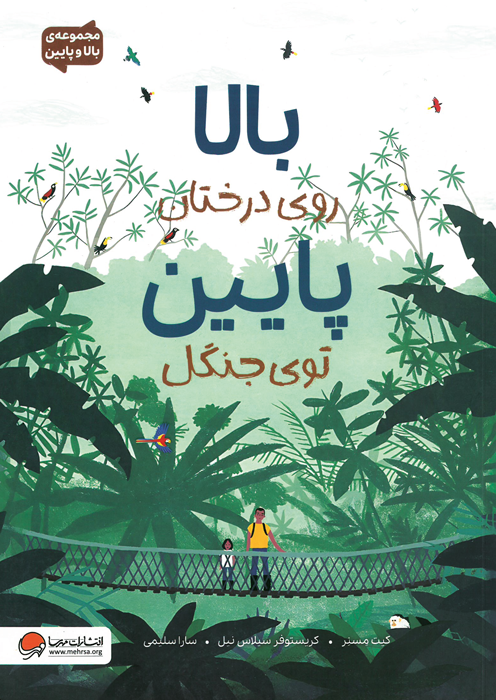 بالا روی درختان پایین توی جنگل