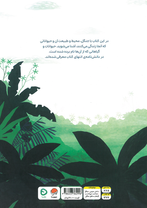 بالا روی درختان پایین توی جنگل