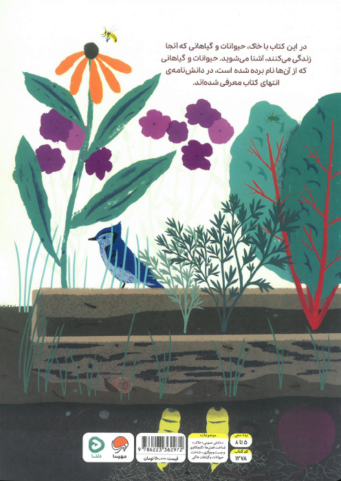 بالا روی خاک پایین توی خاک
