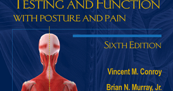 Muscles Testing and Function with Posture and Pain
