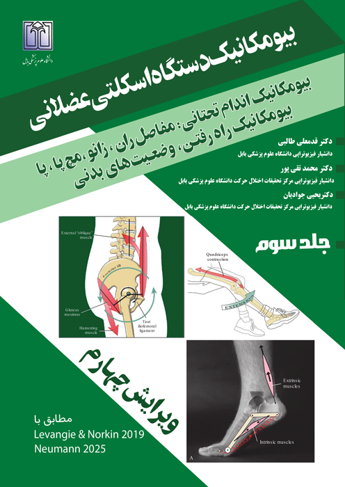 بیومکانیک دستگاه اسکلتی عضلانی (بیومکانیک اندام تحتانی: مفصل ران، زانو، مچ پا، پا، بیومکانیک راه رفتن، وضعیت های بدنی)