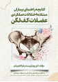 کتابچه راهنمای بیماران مبتلا به اختلالات عملکردی عضلات کف لگن کتابچه راهنمای بیماران مبتلا به اختلالات عملکردی عضلات کف لگن