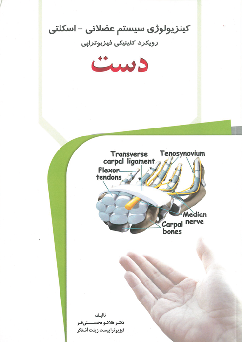 کینزیولوژی سیستم عضلانی-اسکلتی رویکرد کلینیکی فیزیوتراپی دست