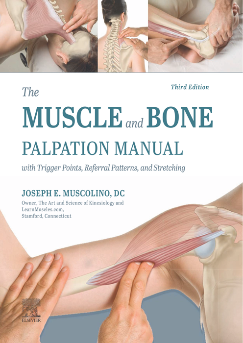 The MUSCLE and BONE PALPATION MANUAL E-Book