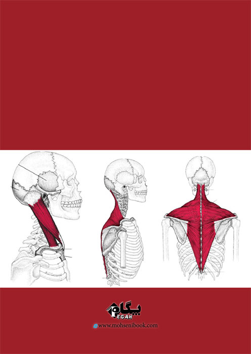 TRAVELL, SIMONS & SIMONS’ Myofascial Pain and Dysfunction the trigger point manual