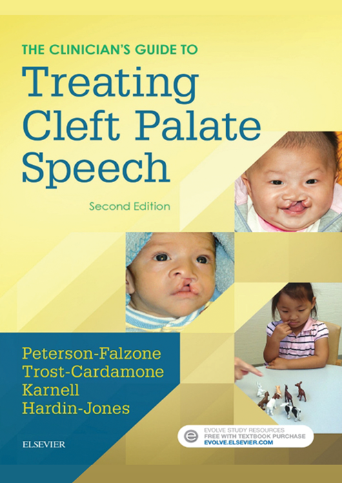 The Clinician's Guide to Treating Cleft Palate Speech