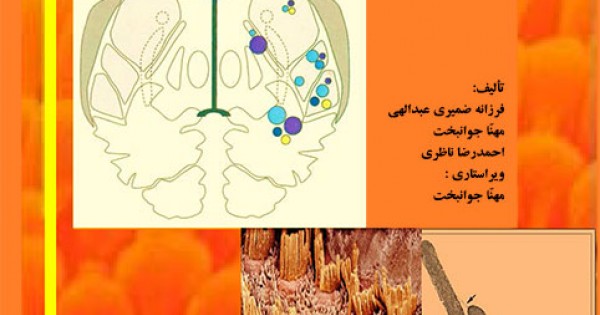 علوم اعصاب (نوروساینس) شنوایی