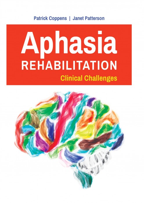Aphasia rehabilitation clinical challenges